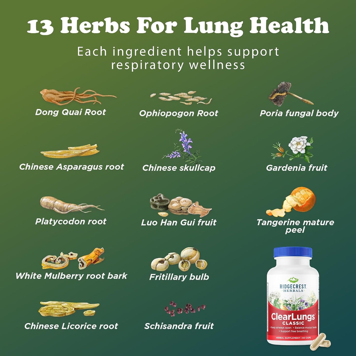 RidgeCrest Herbals ClearLungs Classic Natural Lung Health Support 60 Ct | 30 Servings, 13 Unique Herbs, Nasal Wellness, Respiratory and Bronchial Support, Sinus, Mucus and Immune Health