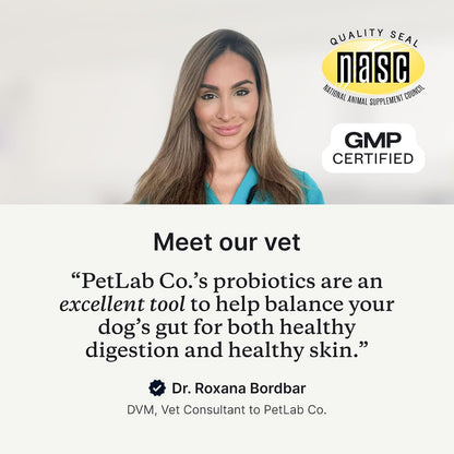 PetLab Co. Probiotic Chews, 30 Soft Chews, 2-Pack, Salmon | 8-strain probiotic blend with prebiotics to support digestive health, skin and seasonal allergy support