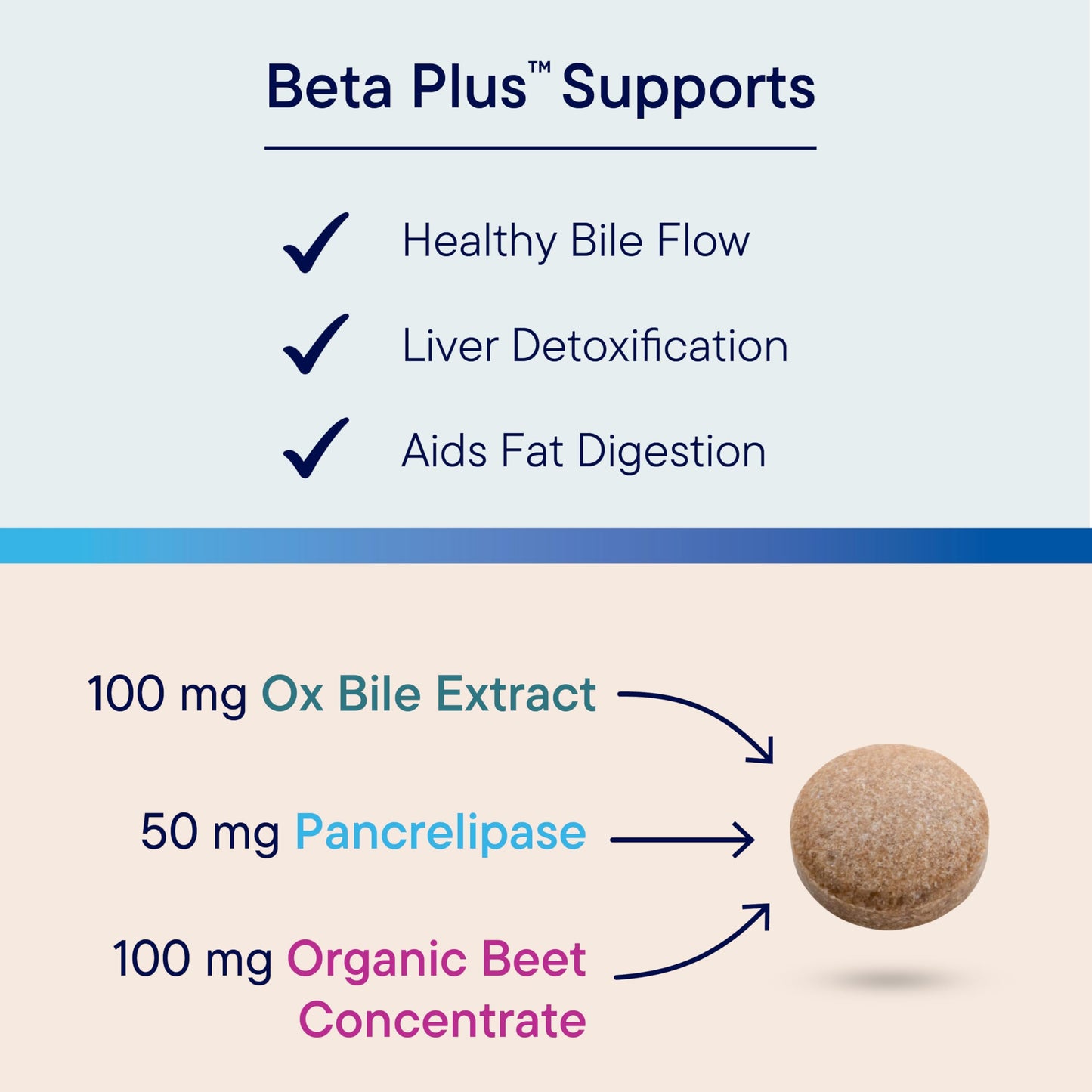 Biotics Research Beta-Plus™ Nutritional Ox Bile Salts Digestive Enzymes Supplement for Bile Production for No Gallbladder-Supports Overall Liver Function, Aids Fat Digestion, Supplies Betaine 90 Tabs