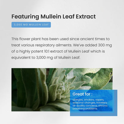 NutraChamps Mullein Leaf Extract for Lung Detox Extra Strength Lung Cleanse for Smokers, Mullein Capsules Lung Support Supplement for Respiratory Lung Health