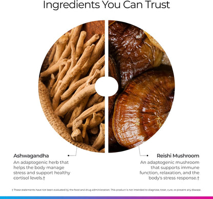 Livingood Daily Stress Support, 12-in-1 Supplement with Ashwagandha, Reishi Mushroom, Vitamin B6, Adaptogenic Herbs & Magnesium, Supports Mood & Calm, Gluten Free, Vegan, 60 Vegetarian Capsules