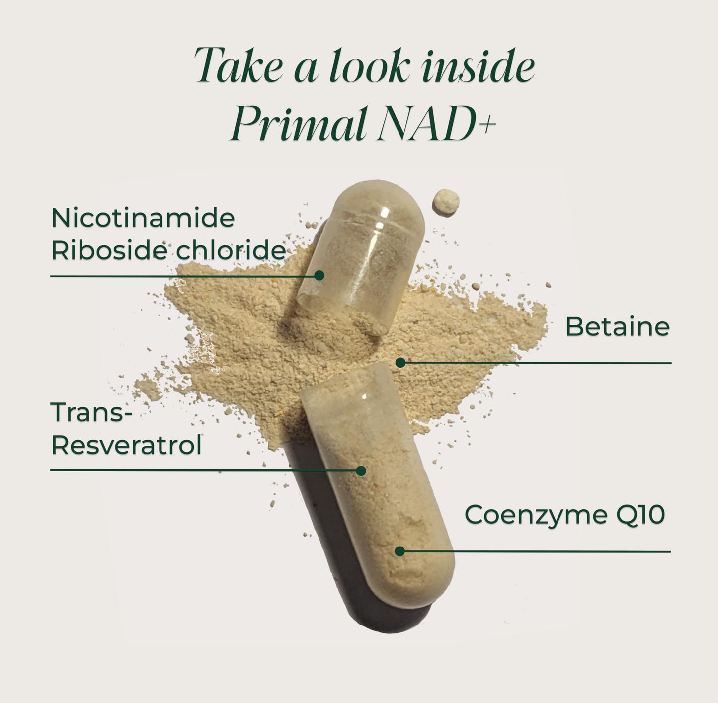 Primal Harvest NAD+ - Daily Vegan Supplement, Gluten & Dairy Free