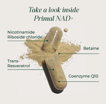 Primal Harvest NAD+ - Daily Vegan Supplement, Gluten & Dairy Free