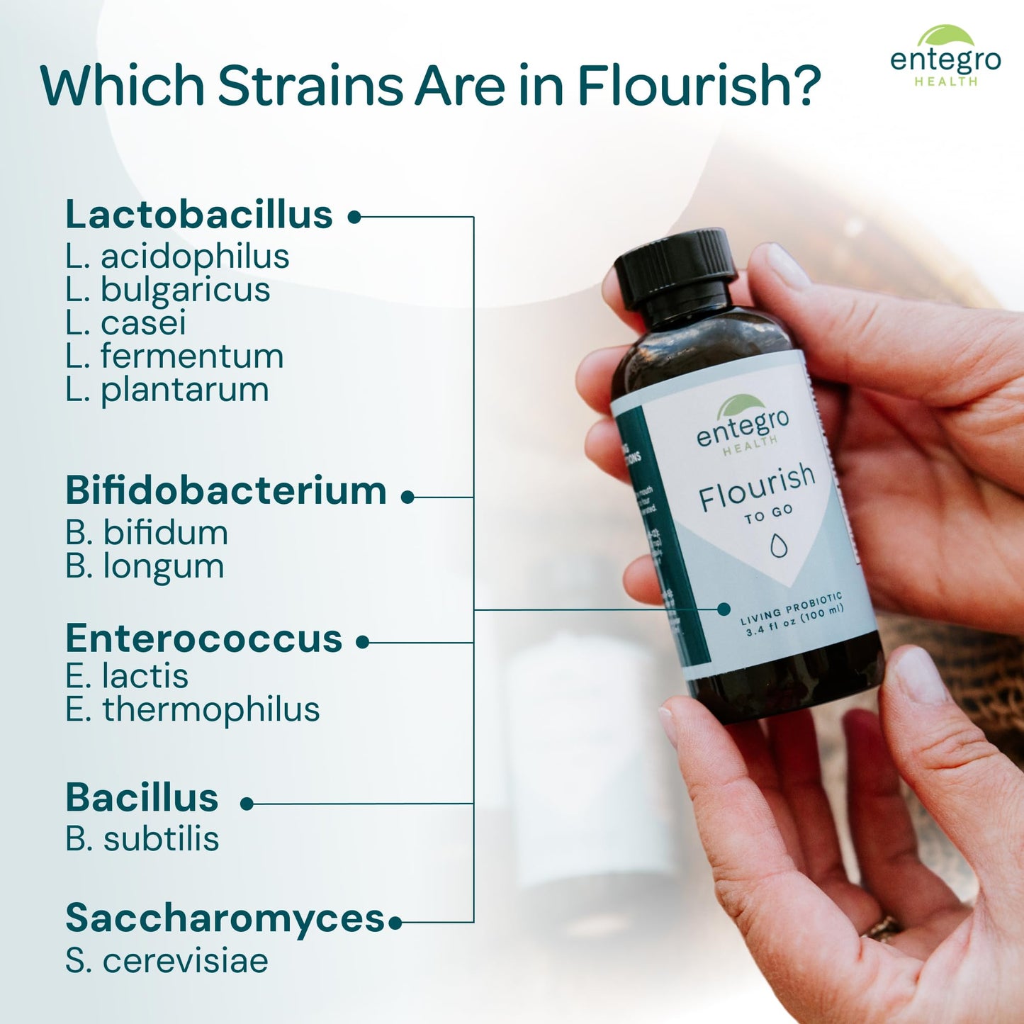 ENTEGRO Flourish Original Liquid Probiotic & Postbiotic Supplement, Plastic | 11 Live Cultures, Gut & Digestive Health For Women, Men & Kids, Organic, Vegan, Allergen Free, Non-GMO, USA Made, 16 fl oz