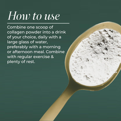 Primal Harvest Collagen - Powdered Daily Supplement, Dairy & Gluten Free