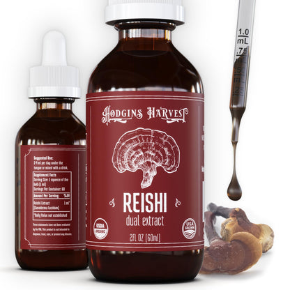 Hodgins Harvest Organic Lion's Mane Fruiting Body Extract Tincture - Mushroom Supplement for Brain Health and Mental Focus - Dual Extract Formula - Extra Concentrated - 4 fl oz Bottle