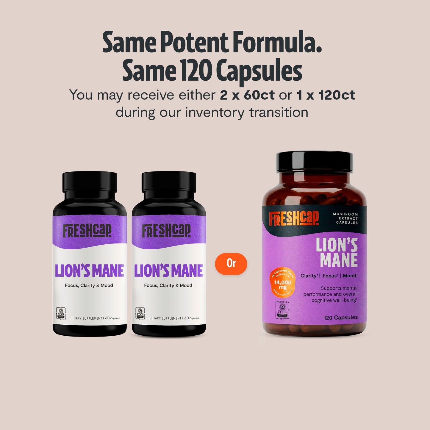 FreshCap Mushrooms Premium Organic Lions Mane Capsules - 14:1 Fruiting Body Extract with 31% Beta-Glucans - 3rd-Party Tested Nootropic for Clarity, Focus & Cognitive Support (120 Capsules)