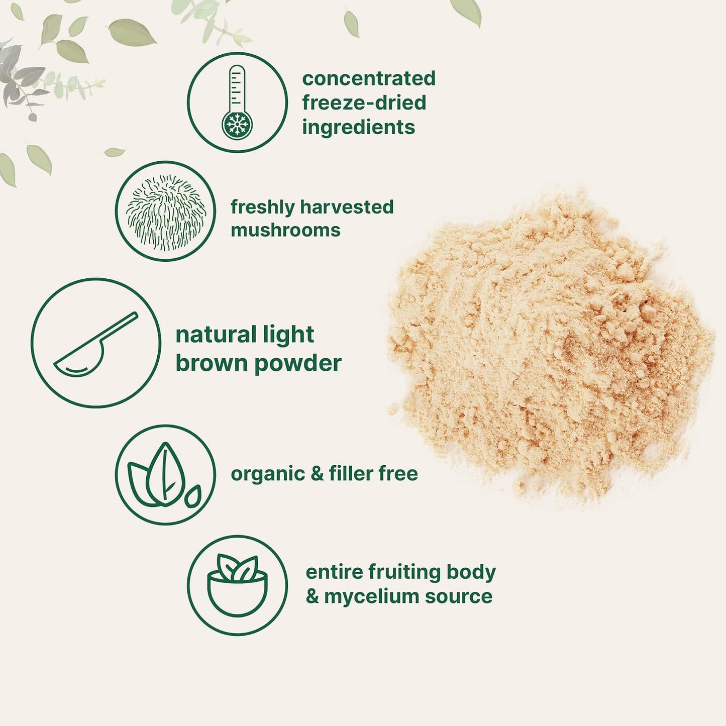 Micro Ingredients Organic Lion’s Mane Mushroom Powder, 16oz | Pure Fruiting Body Superfood | Supports Brain, Focus, Energy & Immune Health | Great for Smoothies & Coffee | Filler Free, Vegan, Non-GMO
