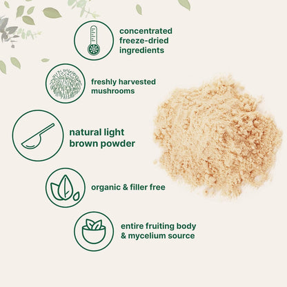 Micro Ingredients Organic Lion’s Mane Mushroom Powder, 16oz | Pure Fruiting Body Superfood | Supports Brain, Focus, Energy & Immune Health | Great for Smoothies & Coffee | Filler Free, Vegan, Non-GMO