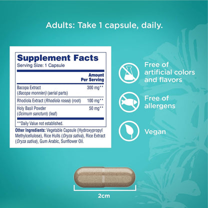 ONE A DAY Cognitive Supplement – Brain Supplement to Support Cognitive Performance