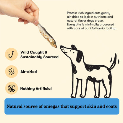 Plato Single Ingredient Wild-Caught Baltic Herring Dog Treats, Air-Dried Whole Fish, Omega-Rich Skin & Coat Support, 8.5 oz