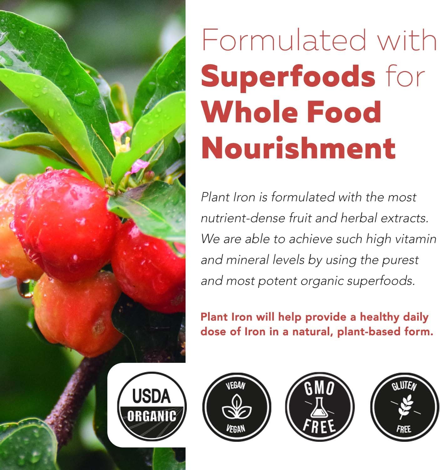 Organic Iron Supplement | Whole Food Mineral & Cofactors, 25 mg Elemental | Enhanced Absorption Plus Blood Health Vitamins – Gentle Form – Supports Healthy Levels & Blood Health – 90 Capsules