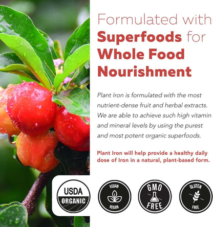 Organic Iron Supplement | Whole Food Mineral & Cofactors, 25 mg Elemental | Enhanced Absorption Plus Blood Health Vitamins – Gentle Form – Supports Healthy Levels & Blood Health – 90 Capsules