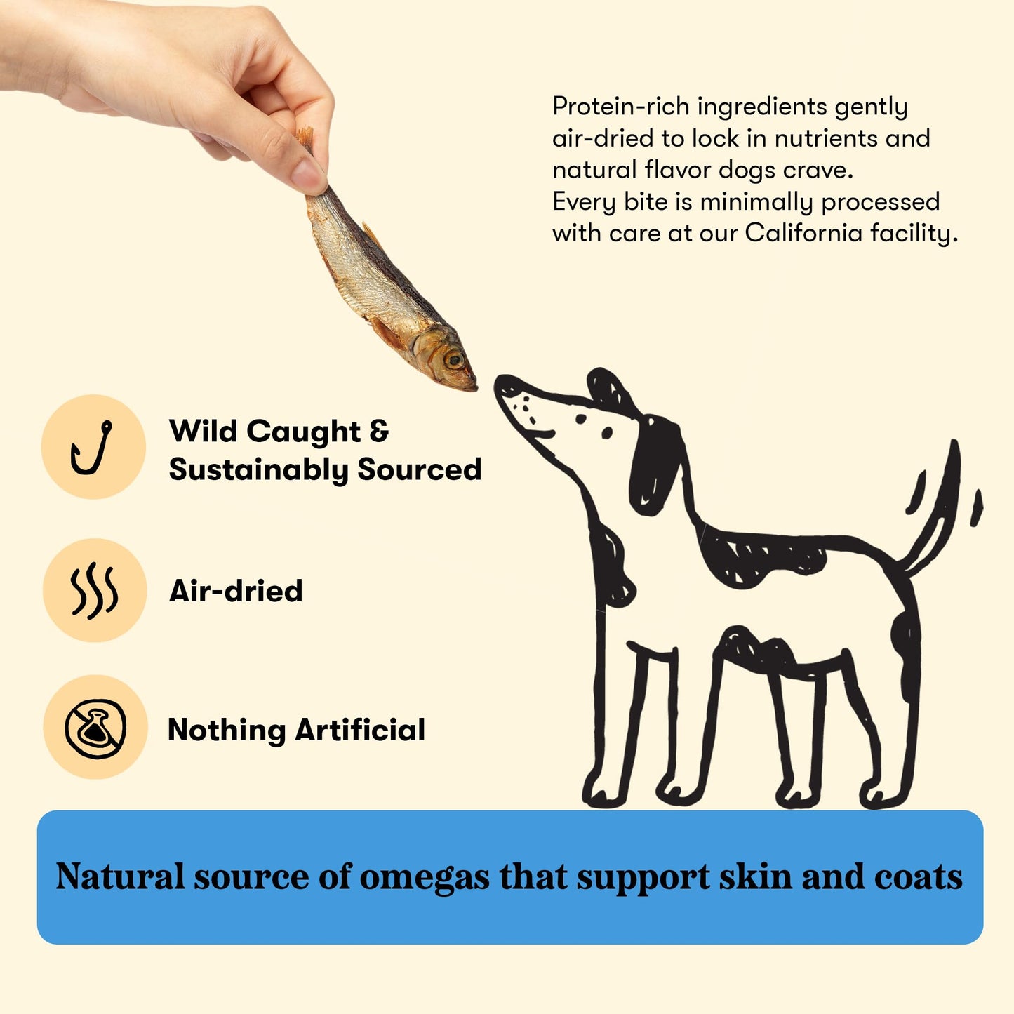 Plato Pet Treats Fish Dog Treats - Air-Dried, Single Ingredient Pet Treat - Omega 3 & 6 Fatty Acids to Support Skin and Coat - 100% Whole Fish - Wild Caught Baltic Sprat - 3 oz - 2 Pack