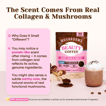 Venture Pal Mushroom Coffee, 12 Mushrooms, Focus & Digestion, 40 Servings | 12 Adaptogenic Mushrooms with Lion's Mane, Cordyceps, Reishi, Turkey Tail, Ashwagandha & Probiotics, Low Caffeine & Calories