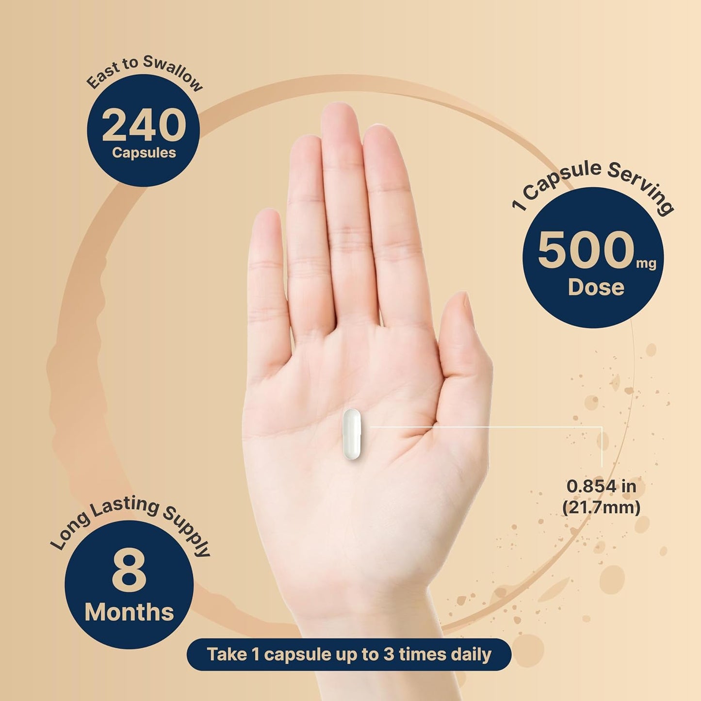 NatureBell Magnesium Glycinate Capsules 500mg & Vaginal Probiotics for Women in Veggie Capsules | Bundle Pack | Chelated & Purified Mineral | 10 Strains & 10 Billion CFU