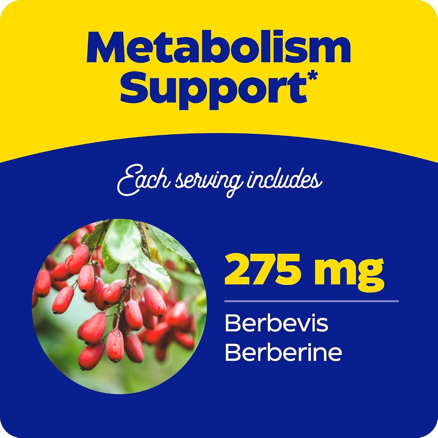 Enzymedica Berberine Phytosome High Bioavailability Formula, 60 Caps | Enhanced Absorption for Superior Berberine Delivery