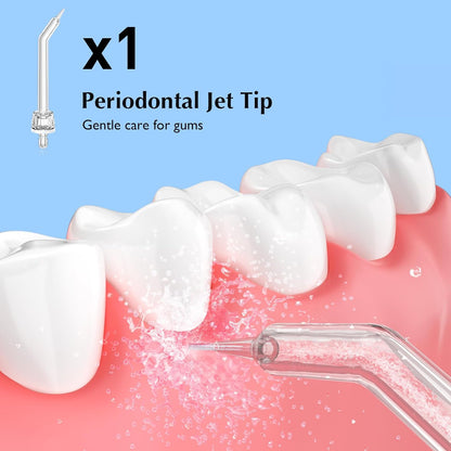 Water Dental Flosser Teeth Pick & Water Dental Flosser Tip Replacement Heads