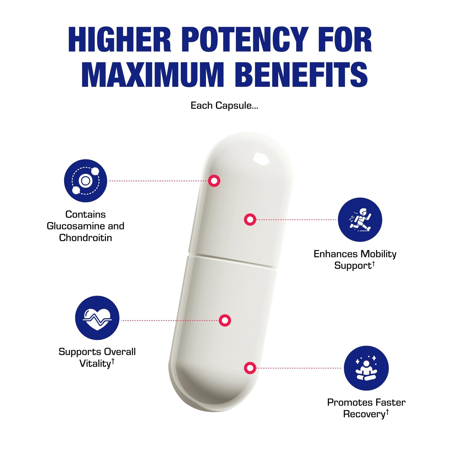Nutra Disc & Joint Support Supplement - Clinically Formulated Restorative Cartilage Ligament and Tendon Supplement with Patented Meriva Curcumin & Glucosamine and Chondroitin for Adults - 90 Servings