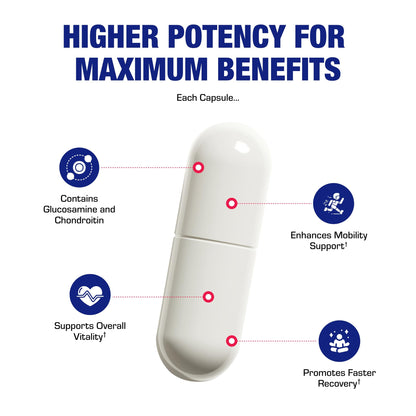 Nutra Disc & Joint Support Supplement - Clinically Formulated Restorative Cartilage Ligament and Tendon Supplement with Patented Meriva Curcumin & Glucosamine and Chondroitin for Adults - 90 Servings