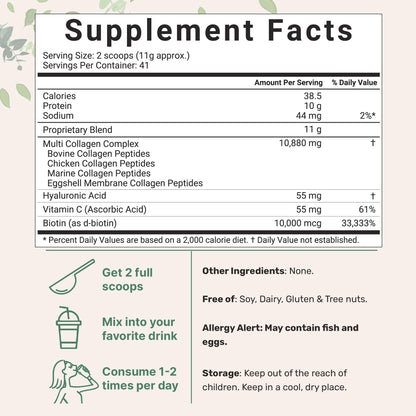 Multi Collagen Peptides Powder, 16 Oz - Hydrolyzed Protein Peptides