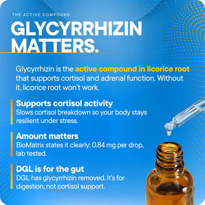 Licorice Root Extract for Cortisol & Adrenal Support, 0.87 mg Glycyrrhizin per Drop, Clinical-Grade Liquid Tincture, Adaptogen for Stress, HPA Axis Supplement, 1,200 Drops, 2 fl oz