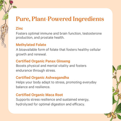 PURE SYNERGY Vita·Min·Vitality | Natural Multivitamin for Men | Men’s Daily Multivitamin Made with Organic Whole Foods | for Energy, Stress, and Immune Support (60 Tablets)