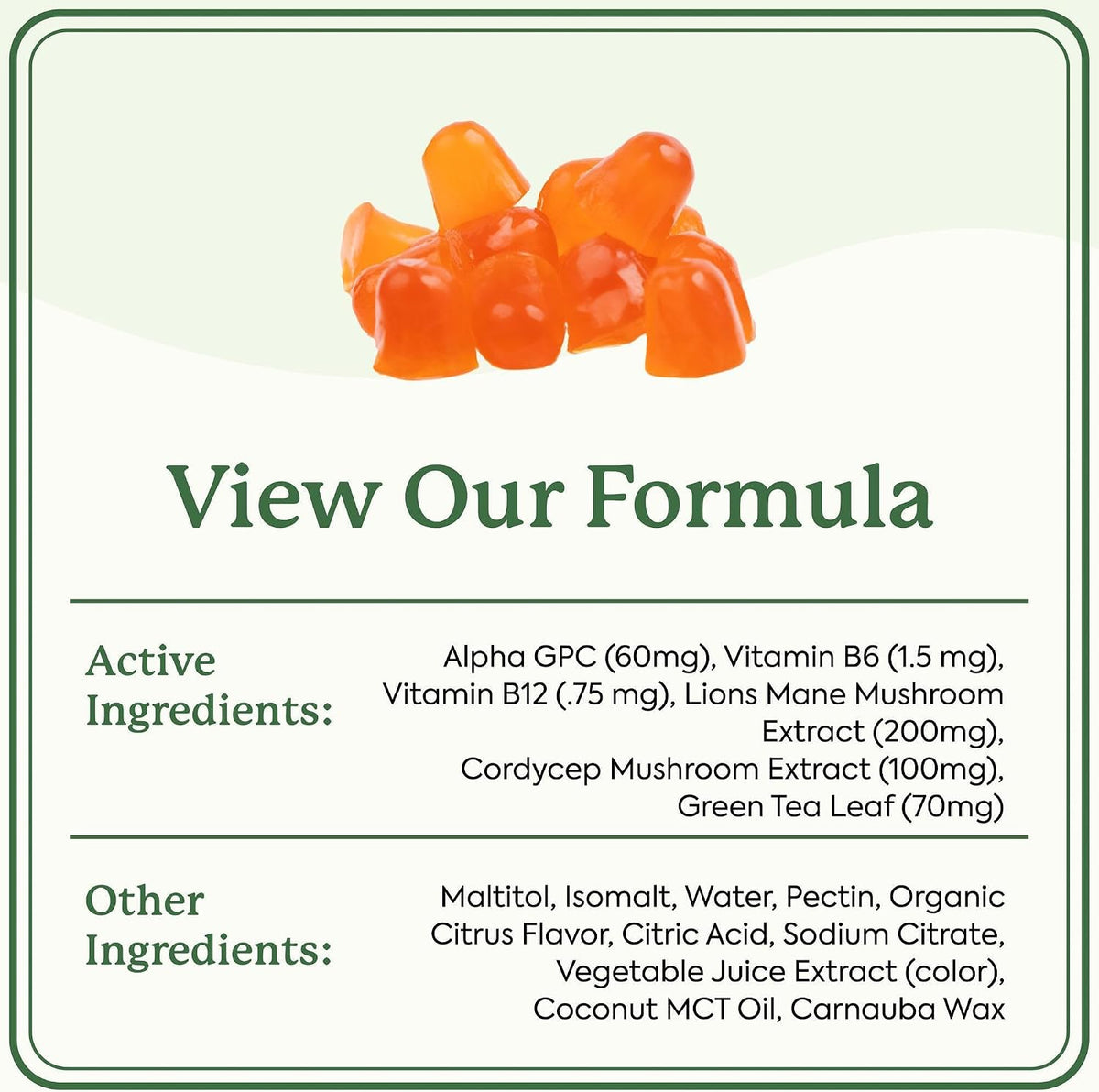 Plant People WonderFocus Mushroom Gummies with Lion’s Mane & Cordyceps 60ct