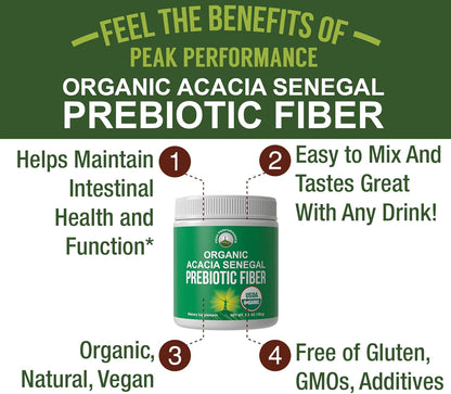Peak Performance Organic Acacia Senegal Prebiotic Fiber Powder - Unflavored USDA Plant Based Soluble Vegan Prebiotics Gut Health Supplement with Digestive Enzymes 5 oz