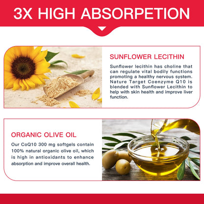 NATURE TARGET CoQ10-300mg-Softgels + PQQ with Organic-Olive-Oil - High Absorption