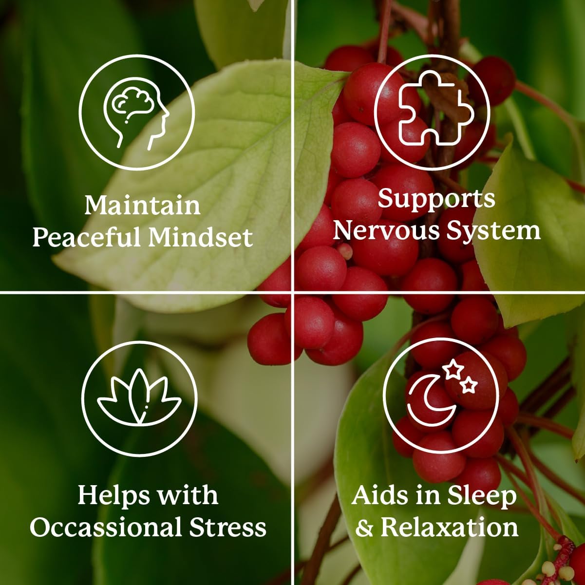Nature's Sunshine Nutri-Calm- Herbal Stress Relief Supplement for Natural Relief, Mood Support and Boost, Nervous System Support - 100 Count