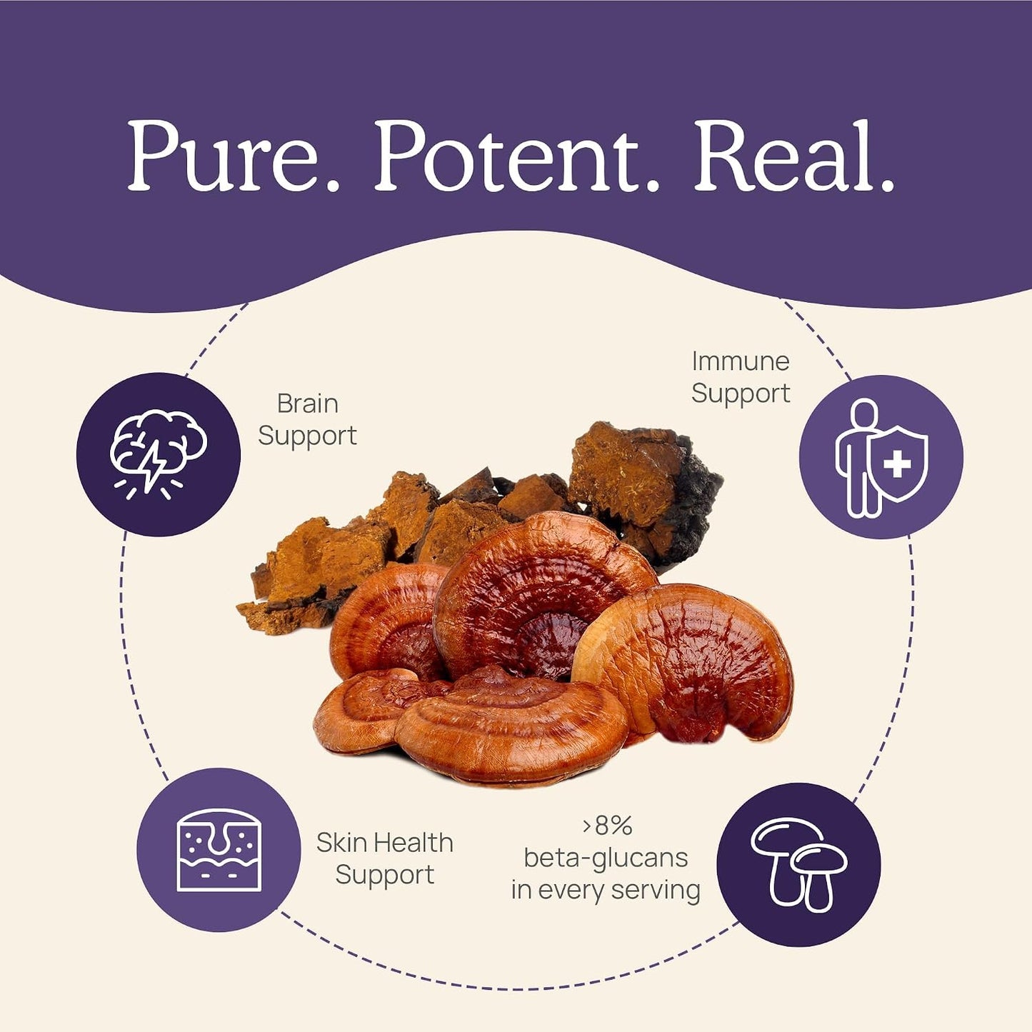 Real Mushrooms Vitamin D2, Zinc, Chaga, Reishi (120ct) and Lion's Mane (120ct) Bundle - Immunity and Cognitive Support, Chelated Zinc for Improved Absorption - Vegan, Gluten Free, Non-GMO