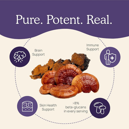 Real Mushrooms Vitamin D2, Zinc, Chaga, Reishi (120ct) and Lion's Mane (120ct) Bundle - Immunity and Cognitive Support, Chelated Zinc for Improved Absorption - Vegan, Gluten Free, Non-GMO