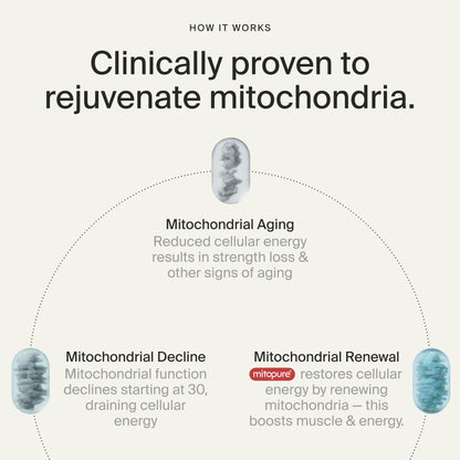 Timeline Mitopure Urolithin A Supplement Softgels - Clinically Proven Support for Healthy Aging and Cellular Renewal - Mitoceutical for Muscle Support and Longevity