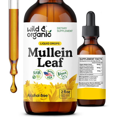 Wild & Organic Mullein Drops for Lungs - Cleanse and Detox - Liquid Mullein Leaf Extract for Lungs with Echinacea - Add to Tea - Verbascum Thapsus Tincture - Sugar & Alcohol-Free Supplement - 4 fl oz