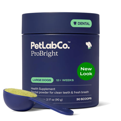 PetLab Co. ProBright Dental Powder for Small Dogs, 30 Scoops | Brown algae, green tea and probiotics in one easy daily scoop to support tartar and fresh breath