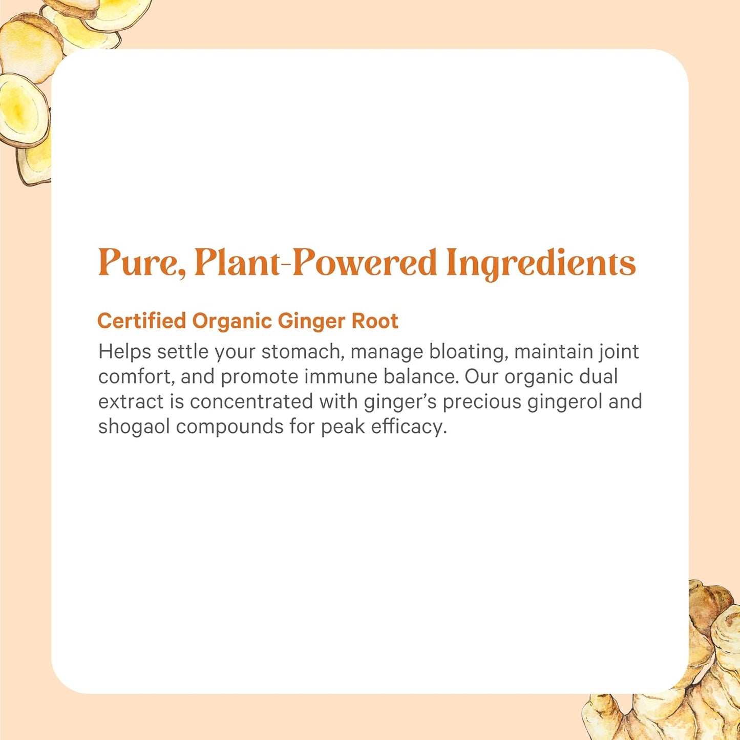 PURE SYNERGY SuperPure Ginger Extract | Organic Ginger Extract Digestive Supplement | for Stomach and Joint Support (60 Capsules)