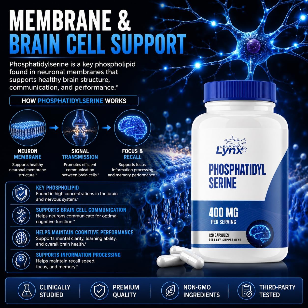 Phosphatidylserine 400 mg – Sunflower Phosphatidylserine Supplement – 120 Capsules (60 Servings) – PS Supplement for Brain, Memory & Cognitive Support – Non-GMO, ISO-Certified