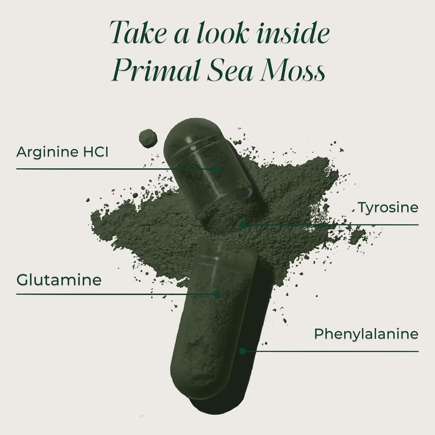 Primal Harvest Sea Moss – Daily Vegan Supplement, Dairy & Soy Free
