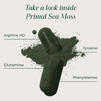 Primal Harvest Sea Moss – Daily Vegan Supplement, Dairy & Soy Free
