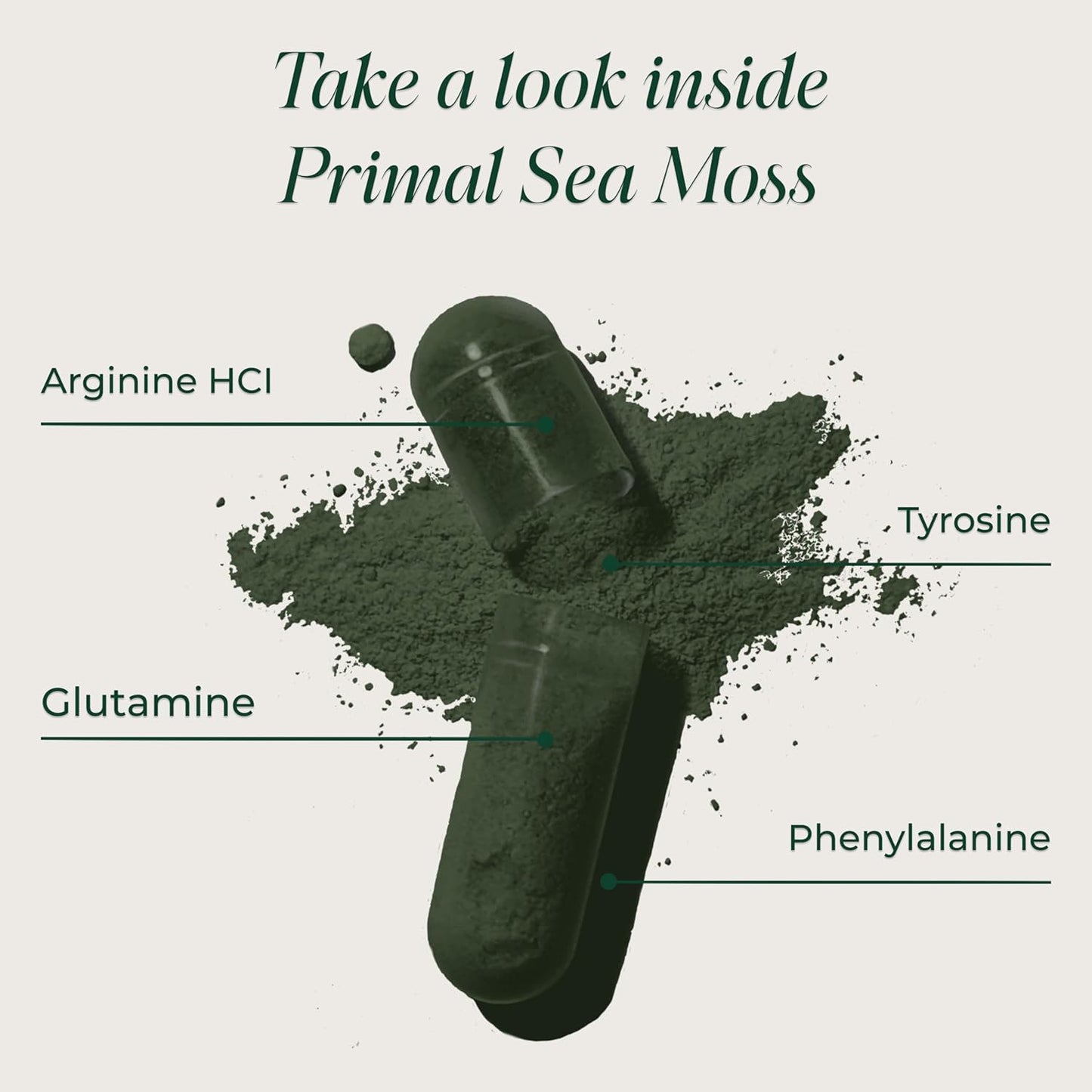 Primal Harvest Sea Moss – Daily Vegan Supplement, Dairy & Soy Free
