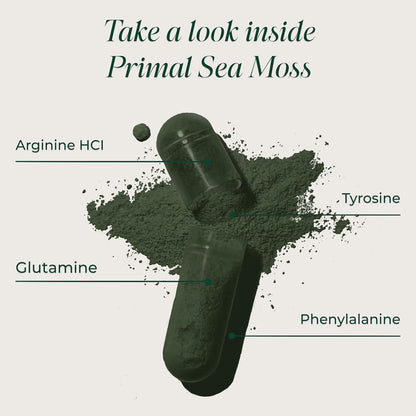 Primal Harvest Sea Moss – Daily Vegan Supplement, Dairy & Soy Free