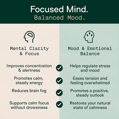 Adapt Naturals Steady Spirit Stress, Moddy & Resilience Support Supplement | Clinically Studied Saffron, Ashwagandha, L-Theanine, Lemon Balm & Holy Basil - Adaptogen Blend for Calm Focus - 30 Day Supply