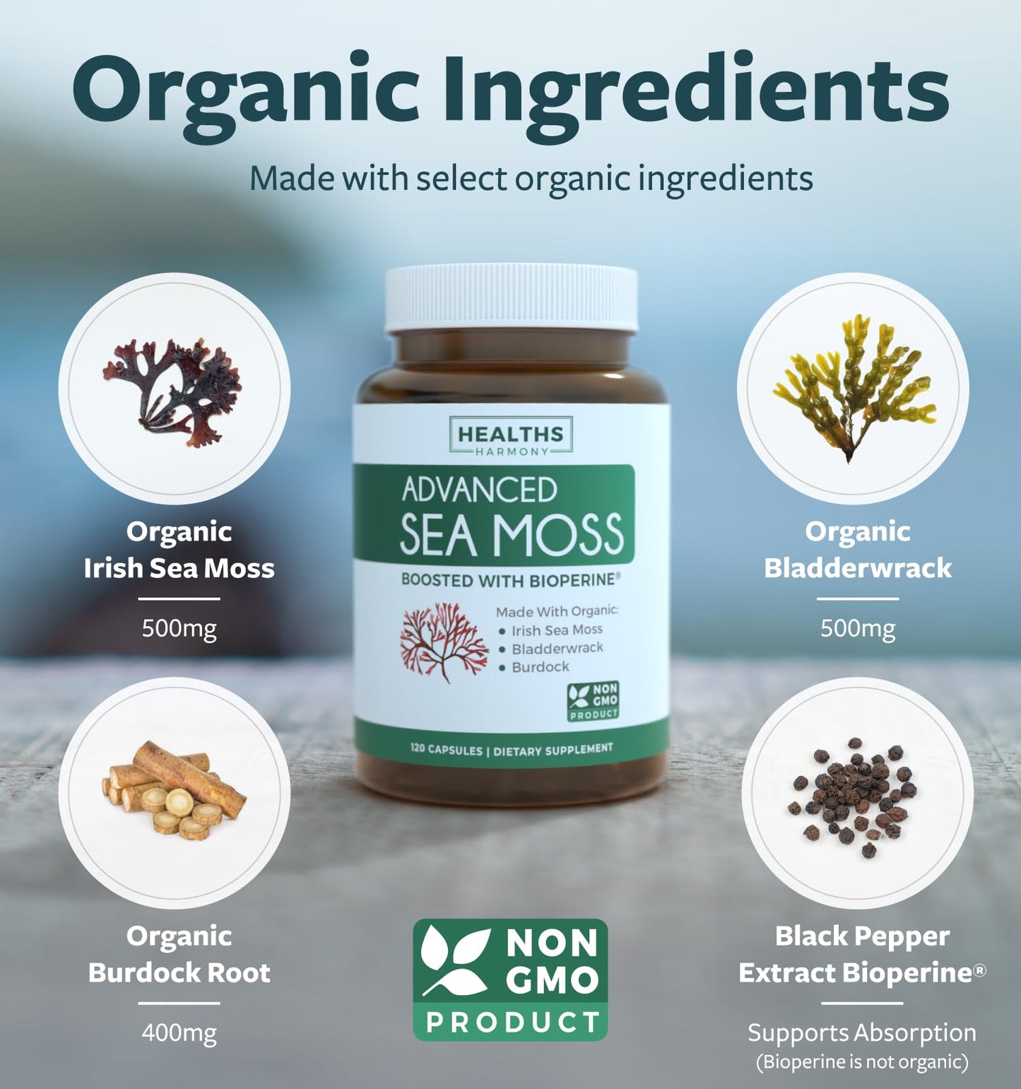 Organic Irish Sea Moss Capsules - Organic Sea Moss Capsules with Bladderwrack Burdock Root and Black Pepper Extract for Enhanced Absorption - Vegan Non-GMO & Made in the USA (1 Month Supply)