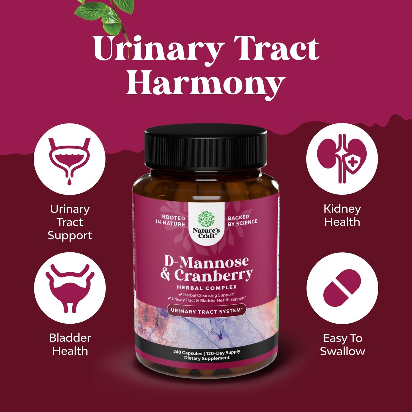 D Mannose with Cranberry Supplement - Potent D Mannose 1000mg Capsules for Kidney Defense Support & Cleanse and Urinary Tract Health for Women & Men - Bladder Health Supplement for Adults - 60 Count