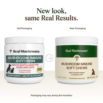 Real Mushroom Immune Pet Chews – For Daily Digestive & Immune Health – Mushrooms for Dogs & Cats Functional Treat – Mushroom Supplement for Dogs & Cats – 1 to 4 Chews For All Breeds & Sizes (60 Count)