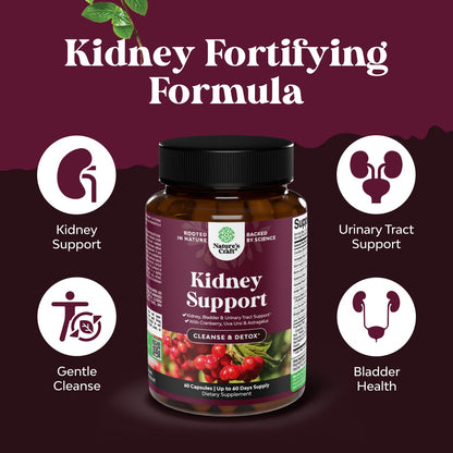 Advanced Kidney Support Supplement - Kidney Cleanse Detox & Repair Cranberry Extract Capsules with Uva Ursi, Stinging Nettle & Astragalus for Kidney Health - Urinary Tract Health - 60 Count