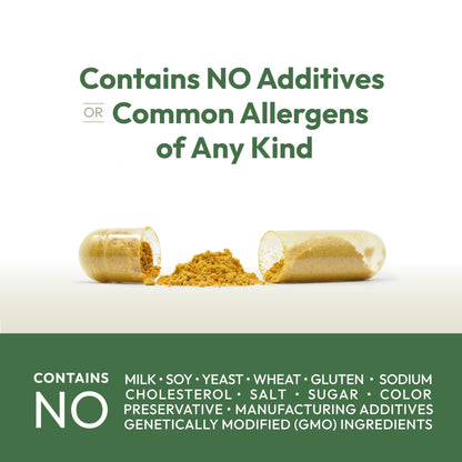 Andrew Lessman Liver Anti-Oxidant Extracts 60 Capsules | Milk Thistle & Curcumin phospholipid complexes for enhanced absorption. Includes Artichoke & B Vitamins.