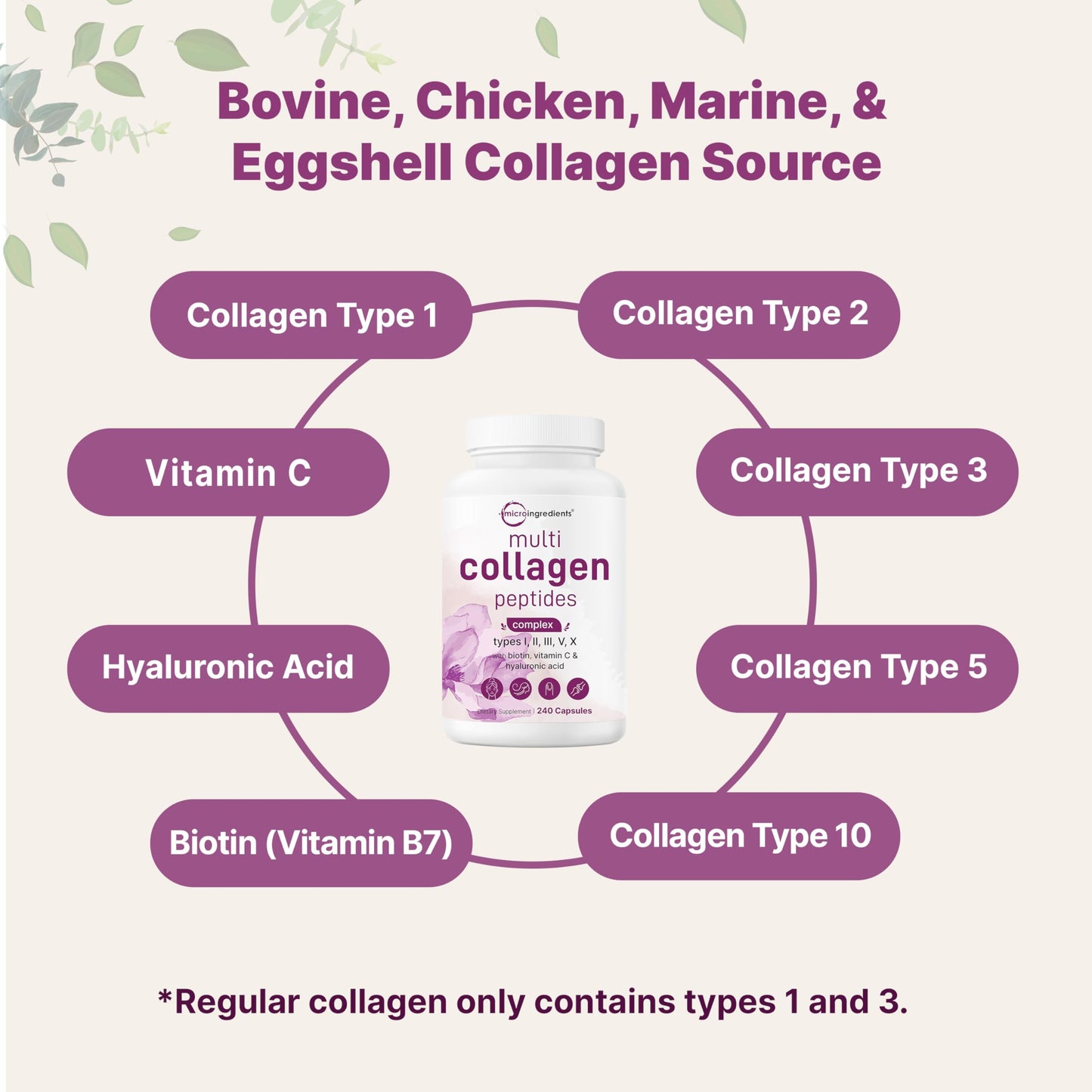 Micro Ingredients Multi Collagen Pills, 240 Capsules | Type I, II, III, V, X | Hydrolyzed Peptides with Biotin, Hyaluronic Acid, & Fat Soluble Vitamin C Complex | Non-GMO, Filler Free