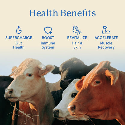 Equip Foods Core Bovine Colostrum Powder - 3,000mg Grass Fed Colostrum Supplement - Gut Health, Immunity, Recovery Lactoferrin Supplements - Keto Friendly Bovine Colostrum, 30 Servings, Unflavored